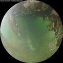 ./images/calvert/underwater/20260630/underwater20260630_060001M.jpg