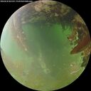 ./images/calvert/underwater/20260630/underwater20260630_061501M.jpg