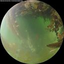 ./images/calvert/underwater/20260630/underwater20260630_062502M.jpg