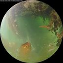 ./images/calvert/underwater/20260630/underwater20260630_063001M.jpg