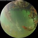 ./images/calvert/underwater/20260630/underwater20260630_063501M.jpg