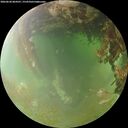 ./images/calvert/underwater/20260630/underwater20260630_064501M.jpg