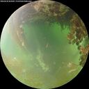 ./images/calvert/underwater/20260630/underwater20260630_065001M.jpg
