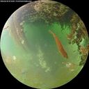 ./images/calvert/underwater/20260630/underwater20260630_071002M.jpg