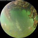 ./images/calvert/underwater/20260630/underwater20260630_072501M.jpg