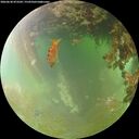 ./images/calvert/underwater/20260630/underwater20260630_073501M.jpg