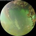 ./images/calvert/underwater/20260630/underwater20260630_074001M.jpg