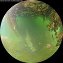 ./images/calvert/underwater/20260630/underwater20260630_081001M.jpg