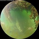 ./images/calvert/underwater/20260630/underwater20260630_081501M.jpg