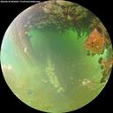 ./images/calvert/underwater/20260630/underwater20260630_082001M.jpg