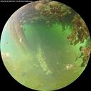 ./images/calvert/underwater/20260630/underwater20260630_082501M.jpg