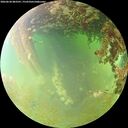 ./images/calvert/underwater/20260630/underwater20260630_083501M.jpg