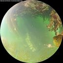 ./images/calvert/underwater/20260630/underwater20260630_090501M.jpg