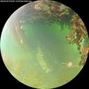 ./images/calvert/underwater/20260630/underwater20260630_091002M.jpg