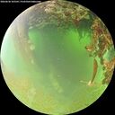 ./images/calvert/underwater/20260630/underwater20260630_103501M.jpg