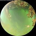 ./images/calvert/underwater/20260630/underwater20260630_105501M.jpg