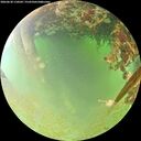 ./images/calvert/underwater/20260630/underwater20260630_110501M.jpg