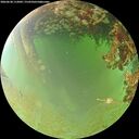 ./images/calvert/underwater/20260630/underwater20260630_112002M.jpg
