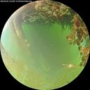 ./images/calvert/underwater/20260630/underwater20260630_112501M.jpg