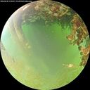 ./images/calvert/underwater/20260630/underwater20260630_114501M.jpg
