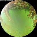 ./images/calvert/underwater/20260630/underwater20260630_123501M.jpg