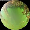 ./images/calvert/underwater/20260630/underwater20260630_124001M.jpg