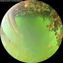 ./images/calvert/underwater/20260630/underwater20260630_124501M.jpg