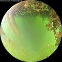 ./images/calvert/underwater/20260630/underwater20260630_125001M.jpg