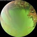 ./images/calvert/underwater/20260630/underwater20260630_130501M.jpg