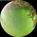 ./images/calvert/underwater/20260630/underwater20260630_131001M.jpg