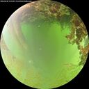 ./images/calvert/underwater/20260630/underwater20260630_131501M.jpg