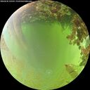 ./images/calvert/underwater/20260630/underwater20260630_132501M.jpg