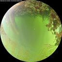 ./images/calvert/underwater/20260630/underwater20260630_133002M.jpg