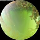 ./images/calvert/underwater/20260630/underwater20260630_135002M.jpg