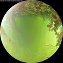 ./images/calvert/underwater/20260630/underwater20260630_140001M.jpg