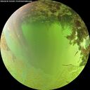 ./images/calvert/underwater/20260630/underwater20260630_141002M.jpg