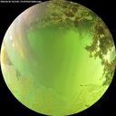 ./images/calvert/underwater/20260630/underwater20260630_141502M.jpg