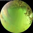 ./images/calvert/underwater/20260630/underwater20260630_142501M.jpg