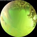 ./images/calvert/underwater/20260630/underwater20260630_143001M.jpg