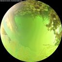 ./images/calvert/underwater/20260630/underwater20260630_143501M.jpg