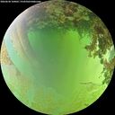 ./images/calvert/underwater/20260630/underwater20260630_144001M.jpg