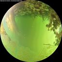 ./images/calvert/underwater/20260630/underwater20260630_144501M.jpg