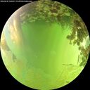 ./images/calvert/underwater/20260630/underwater20260630_145001M.jpg