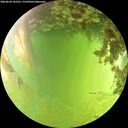 ./images/calvert/underwater/20260630/underwater20260630_145501M.jpg