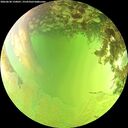 ./images/calvert/underwater/20260630/underwater20260630_150001M.jpg