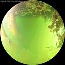 ./images/calvert/underwater/20260630/underwater20260630_150501M.jpg