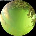 ./images/calvert/underwater/20260630/underwater20260630_151001M.jpg