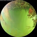./images/calvert/underwater/20260630/underwater20260630_152001M.jpg