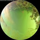 ./images/calvert/underwater/20260630/underwater20260630_152501M.jpg