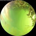 ./images/calvert/underwater/20260630/underwater20260630_153001M.jpg